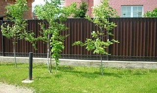 �����: ����� �� ����������� ������� 3 � �21 ����������� ����� �� �������� ���������